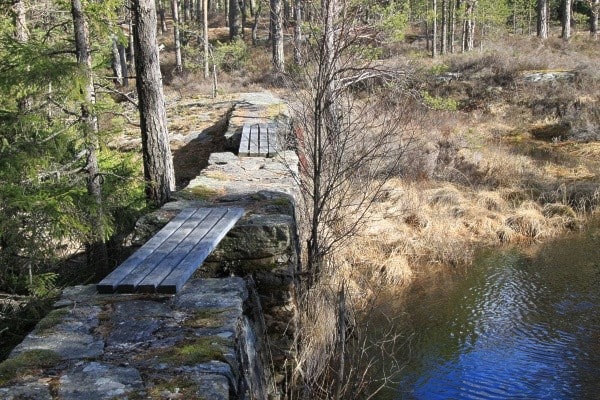 Rundtur Grevlingtjern, Vestfjella